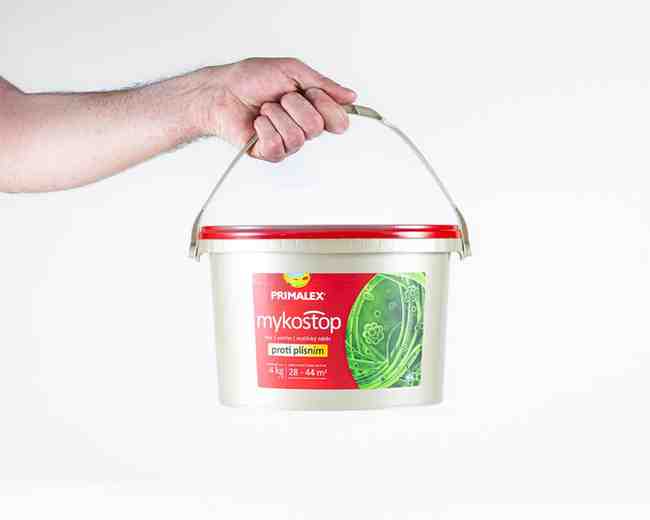 ako odstrániť pleseň